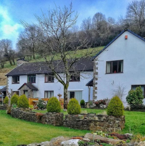 Neuadd Wen Guest House